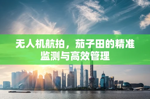 无人机航拍，茄子田的精准监测与高效管理