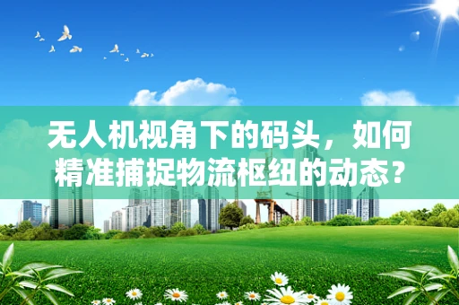 无人机视角下的码头，如何精准捕捉物流枢纽的动态？