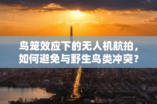 鸟笼效应下的无人机航拍，如何避免与野生鸟类冲突？