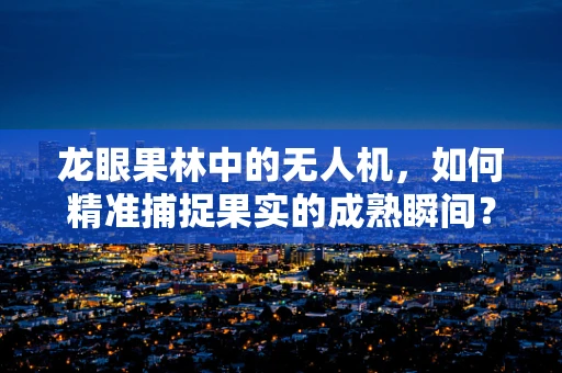 龙眼果林中的无人机，如何精准捕捉果实的成熟瞬间？