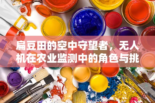 扁豆田的空中守望者，无人机在农业监测中的角色与挑战