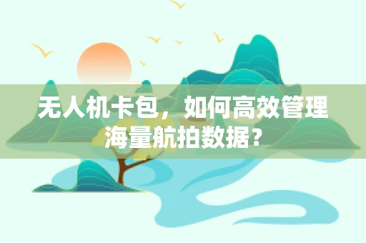 无人机卡包，如何高效管理海量航拍数据？