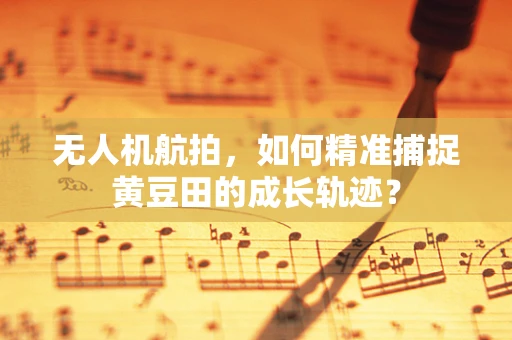 无人机航拍，如何精准捕捉黄豆田的成长轨迹？