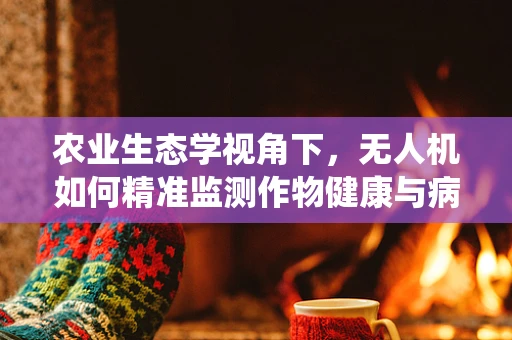 农业生态学视角下，无人机如何精准监测作物健康与病虫害？