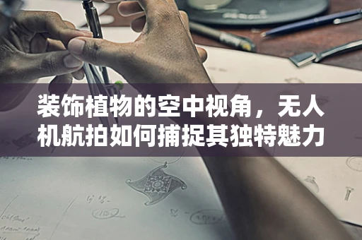 装饰植物的空中视角，无人机航拍如何捕捉其独特魅力？