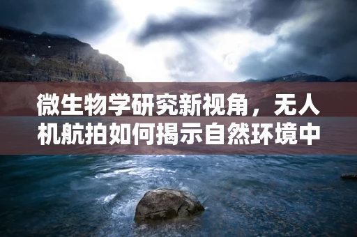 微生物学研究新视角，无人机航拍如何揭示自然环境中的微生物分布？