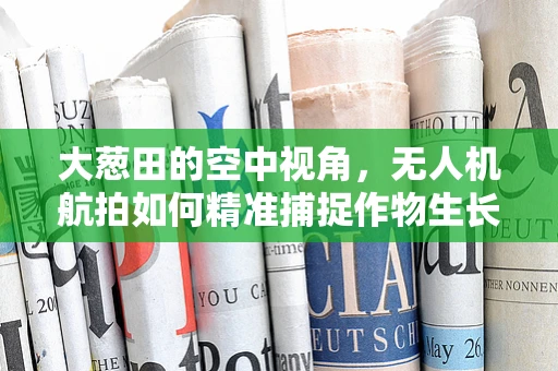 大葱田的空中视角，无人机航拍如何精准捕捉作物生长细节？