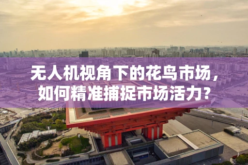 无人机视角下的花鸟市场，如何精准捕捉市场活力？