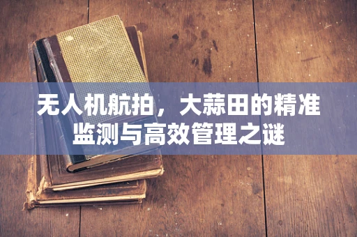 无人机航拍，大蒜田的精准监测与高效管理之谜