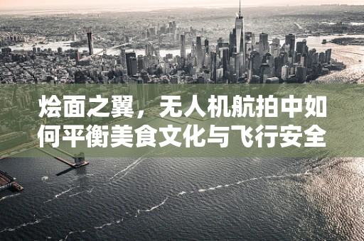 烩面之翼，无人机航拍中如何平衡美食文化与飞行安全？