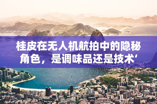 桂皮在无人机航拍中的隐秘角色，是调味品还是技术‘香料’？