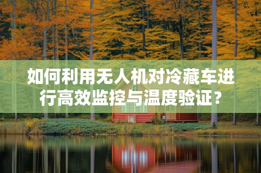 如何利用无人机对冷藏车进行高效监控与温度验证？