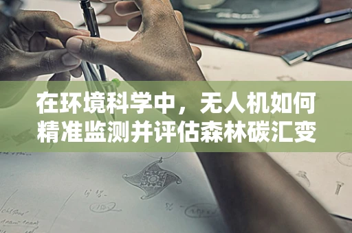 在环境科学中，无人机如何精准监测并评估森林碳汇变化？