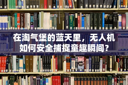 在淘气堡的蓝天里，无人机如何安全捕捉童趣瞬间？