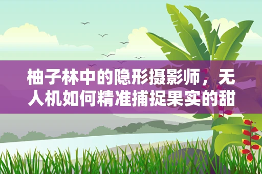 柚子林中的隐形摄影师，无人机如何精准捕捉果实的甜蜜瞬间？