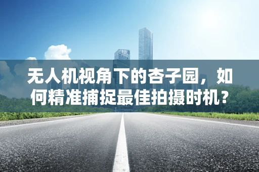 无人机视角下的杏子园，如何精准捕捉最佳拍摄时机？