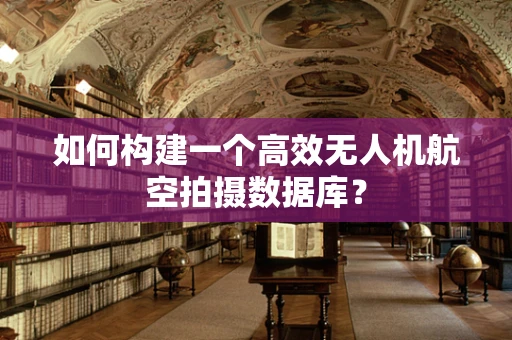 如何构建一个高效无人机航空拍摄数据库？