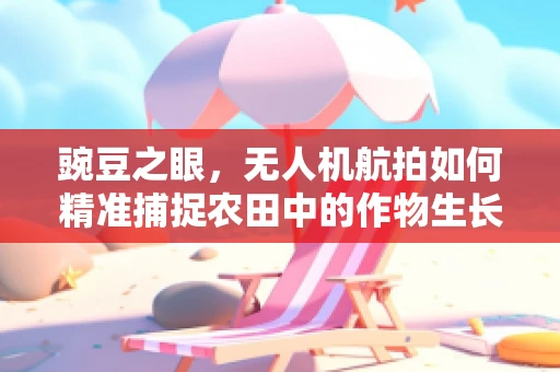 豌豆之眼，无人机航拍如何精准捕捉农田中的作物生长细节？