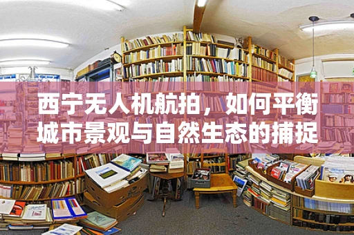 西宁无人机航拍，如何平衡城市景观与自然生态的捕捉？