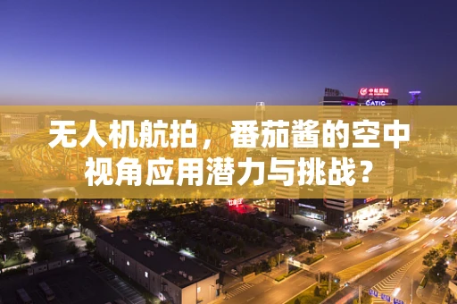 无人机航拍，番茄酱的空中视角应用潜力与挑战？