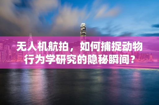 无人机航拍，如何捕捉动物行为学研究的隐秘瞬间？