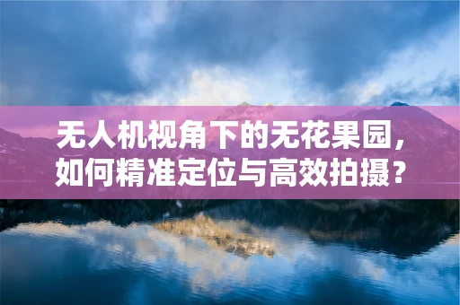 无人机视角下的无花果园，如何精准定位与高效拍摄？
