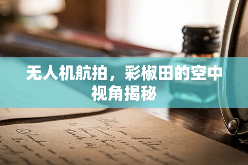 无人机航拍，彩椒田的空中视角揭秘