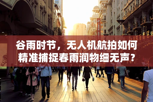 谷雨时节，无人机航拍如何精准捕捉春雨润物细无声？