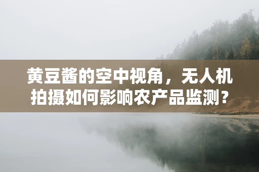黄豆酱的空中视角，无人机拍摄如何影响农产品监测？