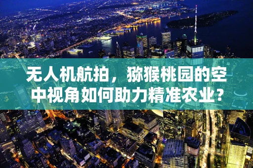 无人机航拍，猕猴桃园的空中视角如何助力精准农业？