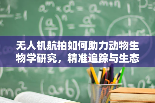 无人机航拍如何助力动物生物学研究，精准追踪与生态评估的挑战？