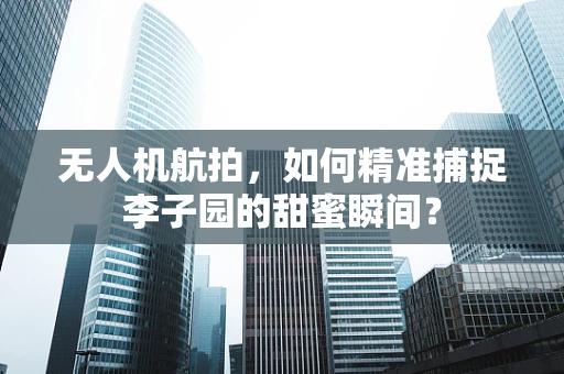 无人机航拍，如何精准捕捉李子园的甜蜜瞬间？