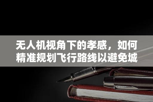 无人机视角下的孝感，如何精准规划飞行路线以避免城市建筑群干扰？