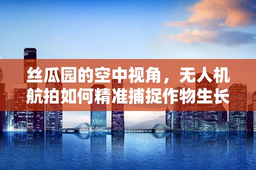 丝瓜园的空中视角，无人机航拍如何精准捕捉作物生长细节？