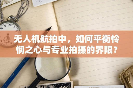 无人机航拍中，如何平衡怜悯之心与专业拍摄的界限？
