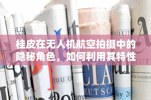 桂皮在无人机航空拍摄中的隐秘角色，如何利用其特性优化图像质量？