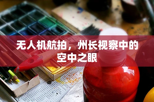 无人机航拍，州长视察中的空中之眼