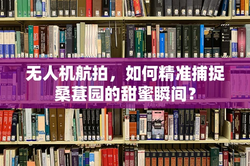 无人机航拍，如何精准捕捉桑葚园的甜蜜瞬间？