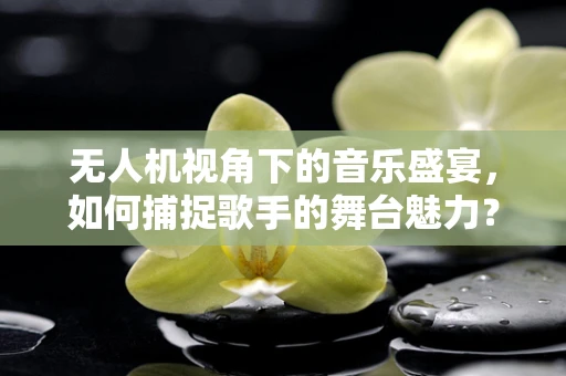 无人机视角下的音乐盛宴，如何捕捉歌手的舞台魅力？