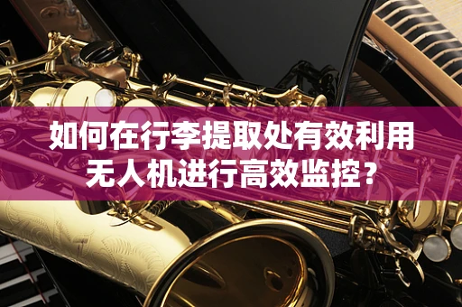 如何在行李提取处有效利用无人机进行高效监控？