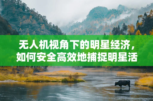 无人机视角下的明星经济，如何安全高效地捕捉明星活动？