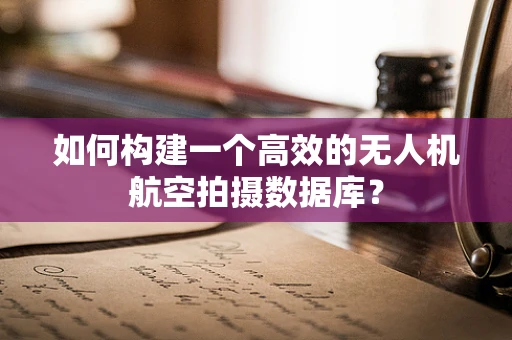 如何构建一个高效的无人机航空拍摄数据库？