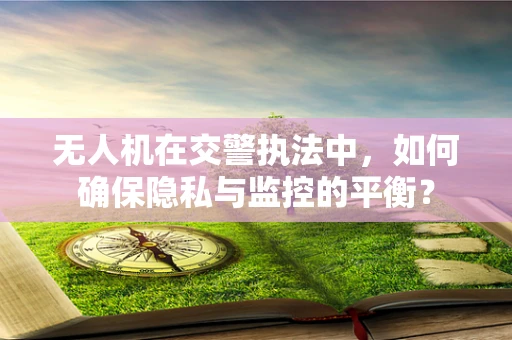 无人机在交警执法中，如何确保隐私与监控的平衡？