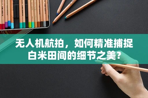 无人机航拍，如何精准捕捉白米田间的细节之美？