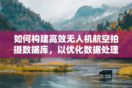 如何构建高效无人机航空拍摄数据库，以优化数据处理与检索？
