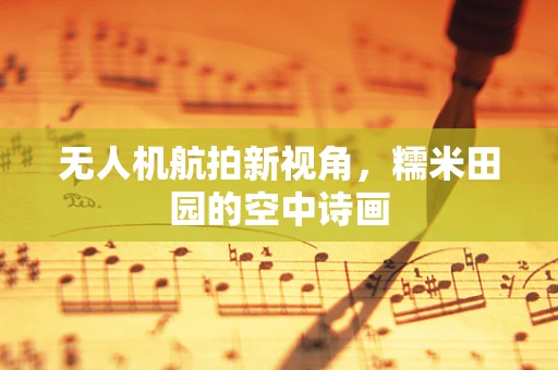 无人机航拍新视角，糯米田园的空中诗画