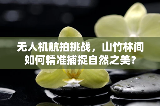 无人机航拍挑战，山竹林间如何精准捕捉自然之美？