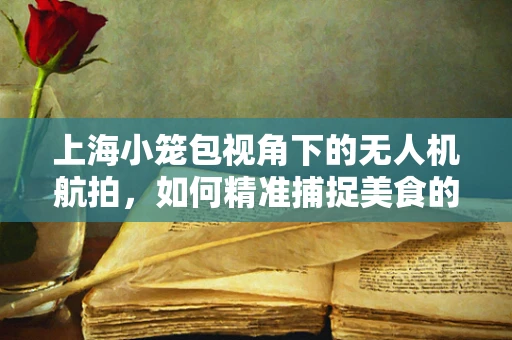 上海小笼包视角下的无人机航拍，如何精准捕捉美食的诱人瞬间？