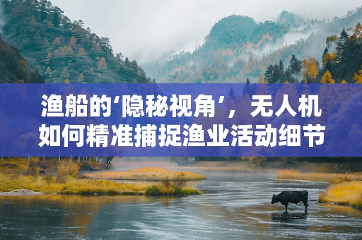 渔船的‘隐秘视角’，无人机如何精准捕捉渔业活动细节？