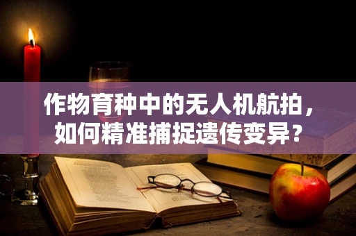 作物育种中的无人机航拍，如何精准捕捉遗传变异？